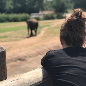 Meet your Posher, Grayce